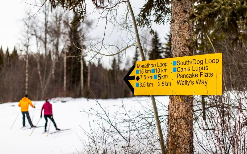 There's A Wonderland Of Snowy Trails In Quesnel SnowSeekers